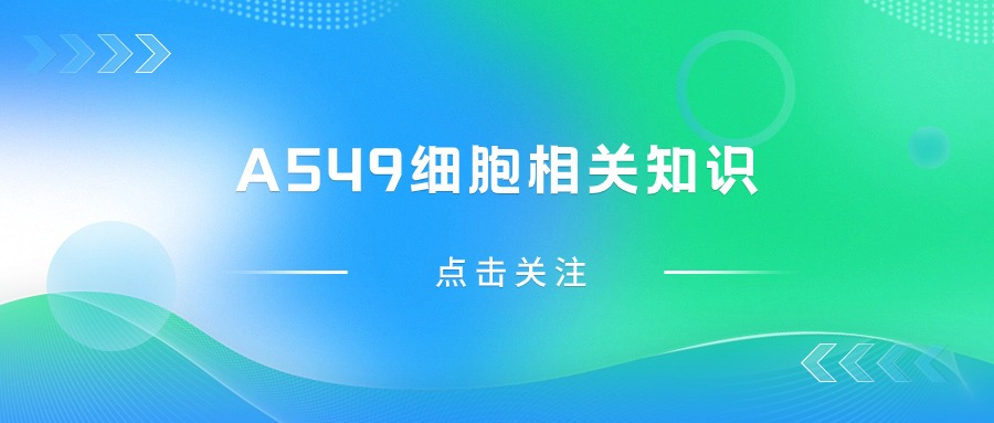 關(guān)于A549細胞，您不得不知道的一些操作