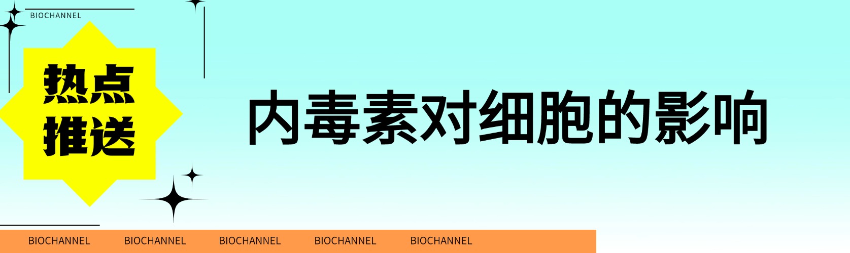 森貝伽科普-內(nèi)毒素對細胞的影響